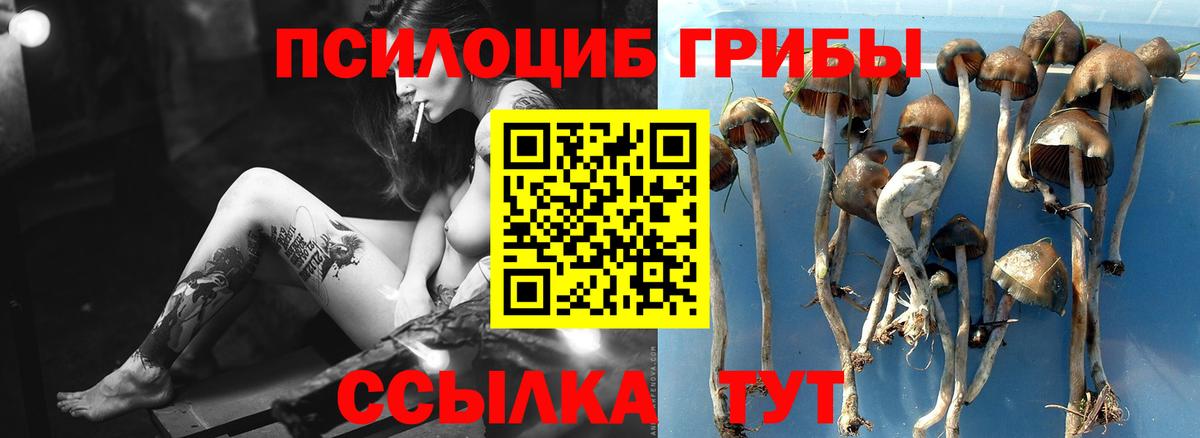 Псилоцибиновые грибы ЛСД  наркошоп  Вход с VPN  Рыбинск  Псилоцибиновые грибы прущие грибы 
